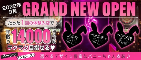 BUNNY LOUNGE B4(ビーフォー)【公式求人・体入情報】(川崎キャバクラ)の求人・体験入店情報