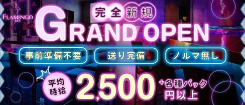 BAR FLAMINGO (フラミンゴ)【公式求人・体入情報】(博多ガールズバー)の求人・体験入店情報