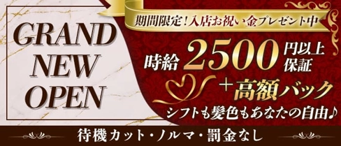【南林間】ガールズバーDOLCE〜ドルチェ〜【公式求人・体入情報】(大和ガールズバー)の求人・体験入店情報