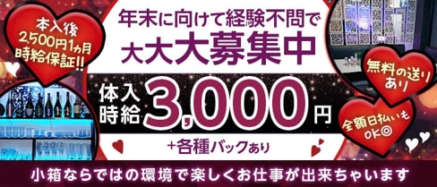 CLUB Felice(フェリーチェ)【公式求人・体入情報】(沼津キャバクラ)の求人・体験入店情報