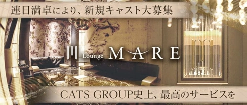 Lounge MARE(マレ)【公式求人・体入情報】(下通りラウンジ)の求人・体験入店情報