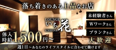 LOUNGE いち花【公式求人・体入情報】(すすきのラウンジ)の求人・体験入店情報