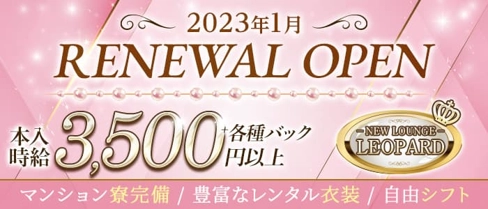 NEW LOUNGE LEOPARD(レオパール)【公式求人・体入情報】(江坂ラウンジ)の求人・体験入店情報
