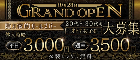 Neo(ネオ)【公式求人・体入情報】(宇都宮ガールズバー)の求人・体験入店情報