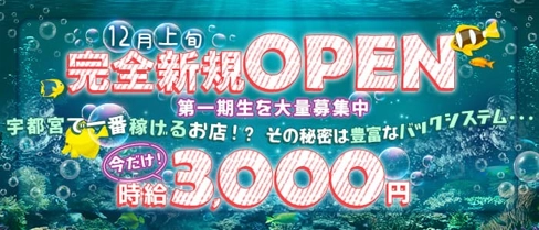 コンセプトカフェMarin(まりん)【公式求人・体入情報】(宇都宮ガールズバー)の求人・体験入店情報