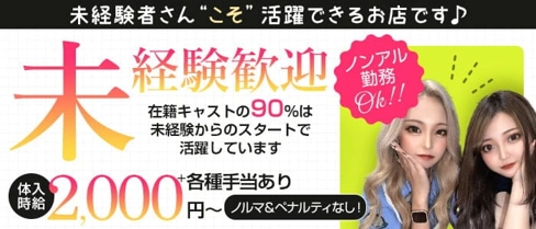 【浜松】Lady merry (レディメリー)【公式求人・体入情報】(浜松ガールズバー)の求人・体験入店情報