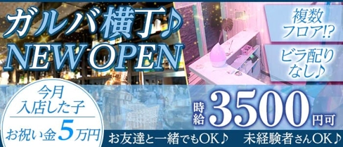 ガールズバー横丁【公式求人・体入情報】(溝の口ガールズバー)の求人・体験入店情報