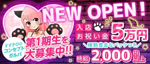 SECRET CAT(シークレットキャット)【公式求人・体入情報】(すすきのガールズバー)の求人・体験入店情報