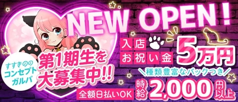 SECRET CAT(シークレットキャット)【公式求人・体入情報】(すすきのガールズバー)の求人・体験入店情報