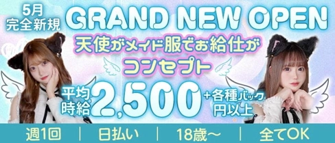 【ミナミコンカフェ】いたずら天使【公式求人・体入情報】(心斎橋ガールズバー)の求人・体験入店情報