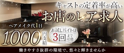 Lounge美花【公式求人・体入情報】(すすきのラウンジ)の求人・体験入店情報