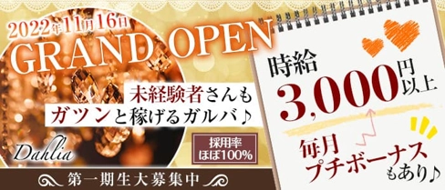 ダリア【公式求人・体入情報】(三宮ガールズバー)の求人・体験入店情報