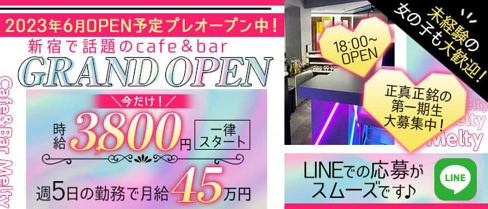 Cafe&Bar Melty ～メルティー～【公式求人・体入情報】(新宿ガールズバー)の求人・体験入店情報