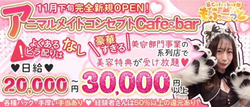 Cafe&bar もふこっと【公式求人・体入情報】(歌舞伎町ガールズバー)の求人・体験入店情報