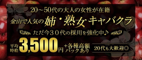 【金山】DESPERATE (デスパレート)【公式求人・体入情報】(金山熟女キャバクラ)の求人・体験入店情報
