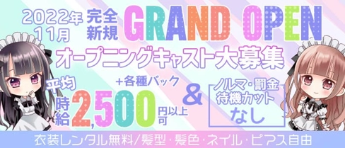 【ミナミコンカフェ】Cafe&Bar ツバメ【公式求人・体入情報】(心斎橋ガールズバー)の求人・体験入店情報