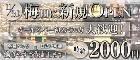 Daring(デアリング)【公式求人・体入情報】(梅田ガールズバー)の求人・体験入店情報