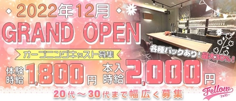 Fellow(フェロー)【公式求人・体入情報】(難波ガールズバー)の求人・体験入店情報