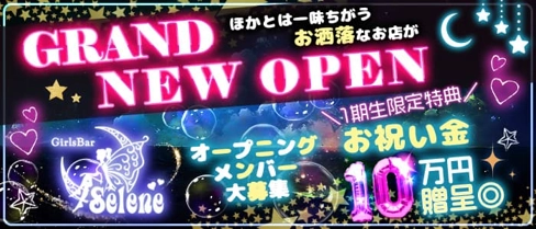 Selene~セレネ~【公式求人・体入情報】(新橋ガールズバー)の求人・体験入店情報