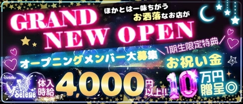 ガールズバー Selene〜セレネ〜【公式求人・体入情報】(新橋ガールズバー)の求人・体験入店情報