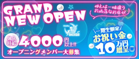 ガールズバー Selene〜セレネ〜【公式求人・体入情報】(新橋ガールズバー)の求人・体験入店情報