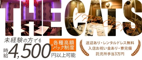 THE CATS(ザ キャッツ)【公式求人・体入情報】(花畑町キャバクラ)の求人・体験入店情報