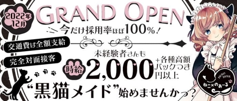 ねこ×のあーる【公式体入・求人情報】(新所沢ガールズバー)の求人・体験入店情報