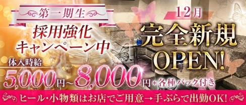 CLUB Adele(クラブ アデール)【公式求人・体入情報】(錦糸町キャバクラ)の求人・体験入店情報