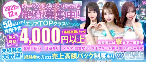 mule(ミュール)【公式求人・体入情報】(池袋ガールズバー)の求人・体験入店情報