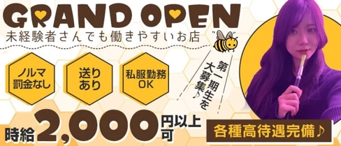 Honeys café(ハニーズカフェ)【公式求人・体入情報】(西新ガールズバー)の求人・体験入店情報