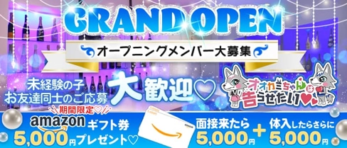 オオカミちゃんは告らせたい【公式求人・体入情報】(三宮ガールズバー)の求人・体験入店情報