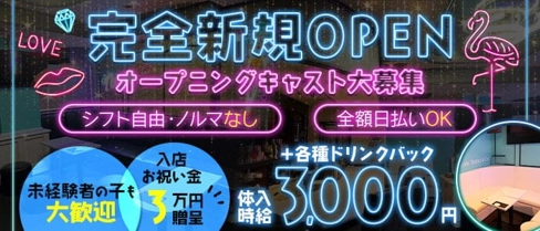 neons TOKYO(ネオンズトーキョー)【公式求人・体入情報】(歌舞伎町ガールズバー)の求人・体験入店情報