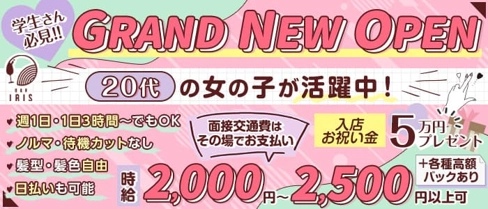 Iris(アイリス)【公式求人・体入情報】(新大宮ガールズバー)の求人・体験入店情報