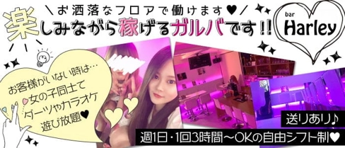 Girlsbar Harley(ハーレー)【公式求人・体入情報】(古町ガールズバー)の求人・体験入店情報