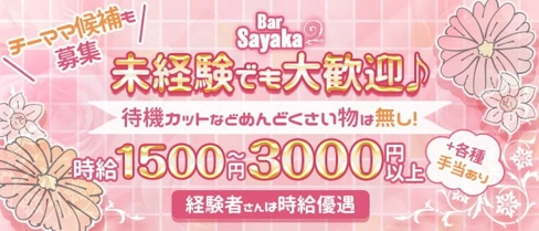 Bar Sayaka(サヤカ)【公式体入・求人情報】(祇園スナック)の求人・体験入店情報
