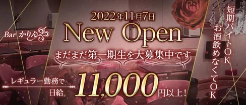 Bar かりん【公式求人・体入情報】(すすきのスナック)の求人・体験入店情報