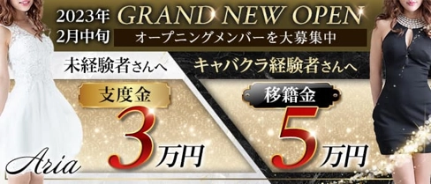 Aria(アリア)【公式求人・体入情報】(静岡キャバクラ)の求人・体験入店情報