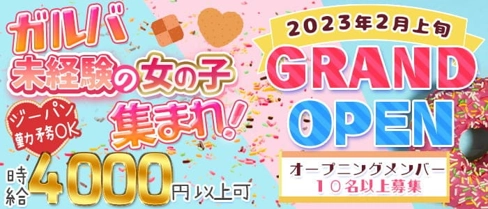Chou Chou-シュシュ-【公式求人・体入情報】(三宮ガールズバー)の求人・体験入店情報