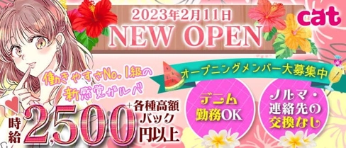 cat(キャット)【公式求人・体入情報】(三宮ガールズバー)の求人・体験入店情報