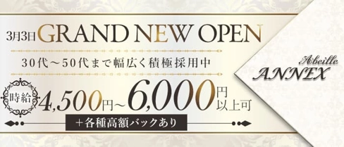 Abeille ANNEX【公式体入・求人情報】(関内ラウンジ)の求人・体験入店情報
