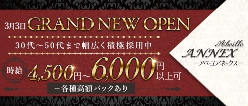 Abeille ANNEX(アベーユアネックス)【公式体入・求人情報】(関内ラウンジ)の求人・体験入店情報