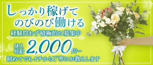 Buddy(バディー)【公式求人・体入情報】(朝日スナック)の求人・体験入店情報