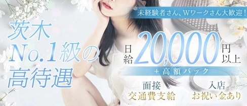 Guusans (グッサン)【公式求人・体入情報】(茨木キャバクラ)の求人・体験入店情報