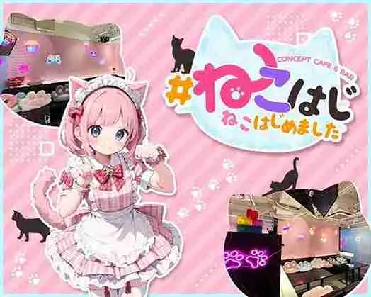 #ねこはじ - ねこはじめました -