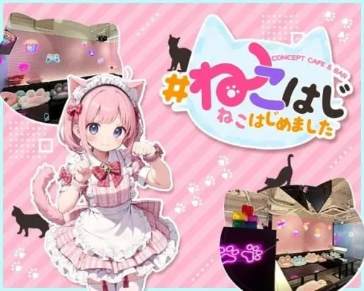 #ねこはじ - ねこはじめました -