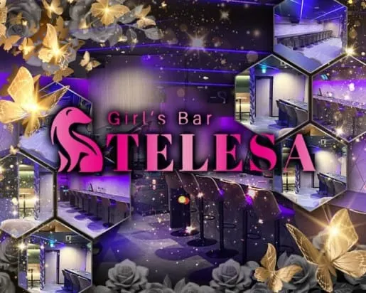 【千葉市】TELESA（テレサ）