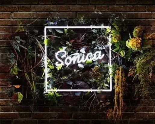 【千葉市】Girl's Bar Sonica-ソニカ-