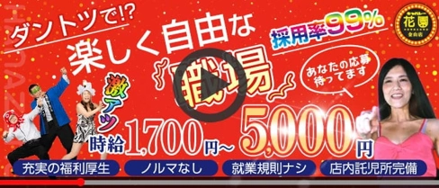 キャバレー花園 金山店【公式求人・体入情報】(金山キャバクラ)の求人・体験入店情報