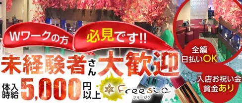 Club Freesia (フリージア)【公式体入・求人情報】(武蔵小杉キャバクラ)の求人・体験入店情報