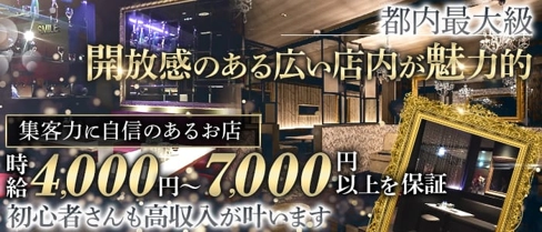 EL-Vision(エルヴィジョン)【公式求人・体入情報】(錦糸町キャバクラ)の求人・体験入店情報